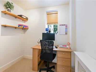 Picture 19